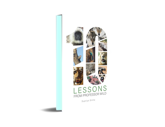 10 Lessons from Professor Wild
