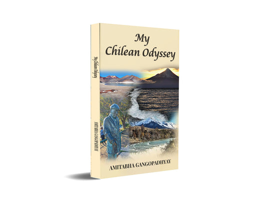 My Chilean Odyssey